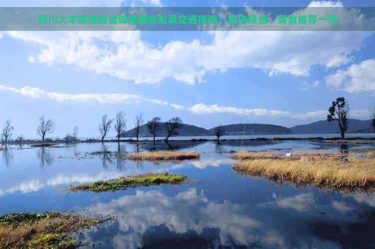 四川大丰旅游美食城完整地址及交通指南：周边景点、美食推荐一览