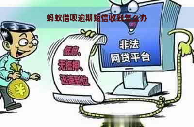 蚂蚁借呗逾期短信收到怎么办