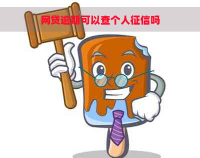 网贷逾期可以查个人吗