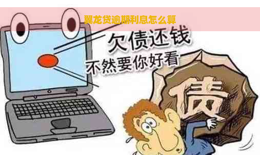 翼龙贷逾期利息怎么算