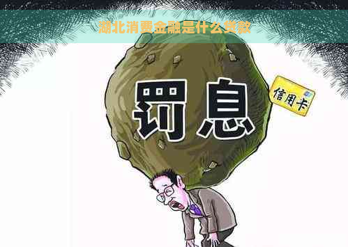 湖北消费金融是什么贷款