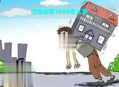 借款逾期1000怎么办