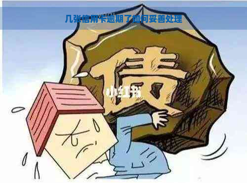 几张信用卡逾期了如何妥善处理