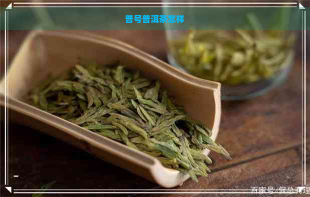 普号普洱茶怎样