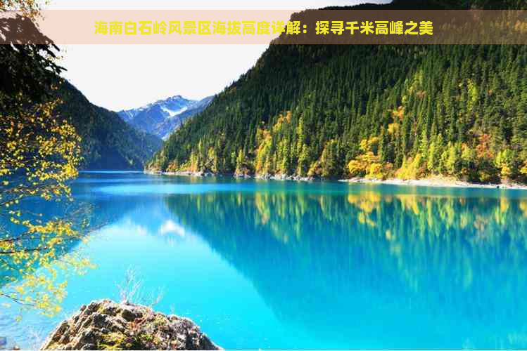 海南白石岭风景区海拔高度详解：探寻千米高峰之美