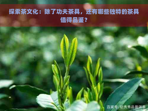 探索茶文化：除了功夫茶具，还有哪些独特的茶具值得品鉴？