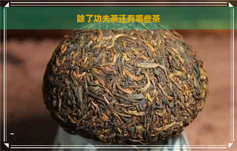 除了功夫茶还有哪些茶