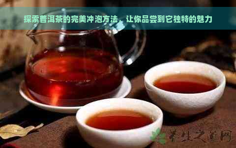 探索普洱茶的完美冲泡方法，让你品尝到它独特的魅力