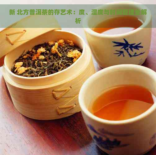 新 北方普洱茶的存艺术：度、湿度与时间管理全解析