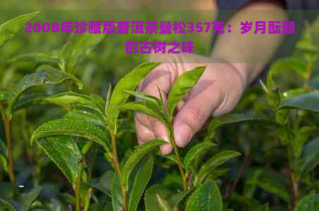 2008年珍藏版普洱茶曼松357克：岁月酝酿的古树之味