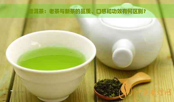 普洱茶：老茶与新茶的品质、口感和功效有何区别？