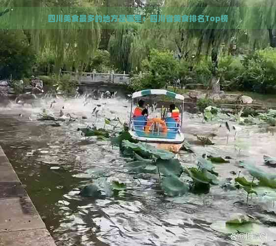 四川美食最多的地方是哪里：四川省美食排名Top榜