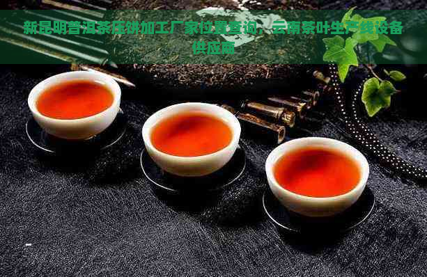 新昆明普洱茶压饼加工厂家位置查询，云南茶叶生产线设备供应商