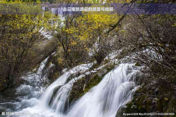 去云南旅游后的感受与收获