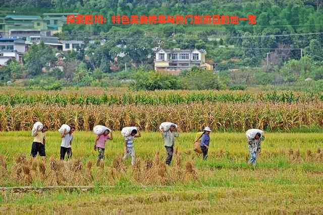 探索四川：特色美食榜单与热门旅游目的地一览