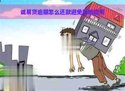 诚易贷逾期怎么还款避免影响信用