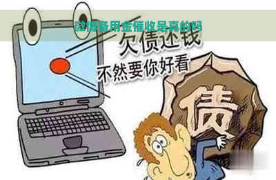 微博备用金是真的吗