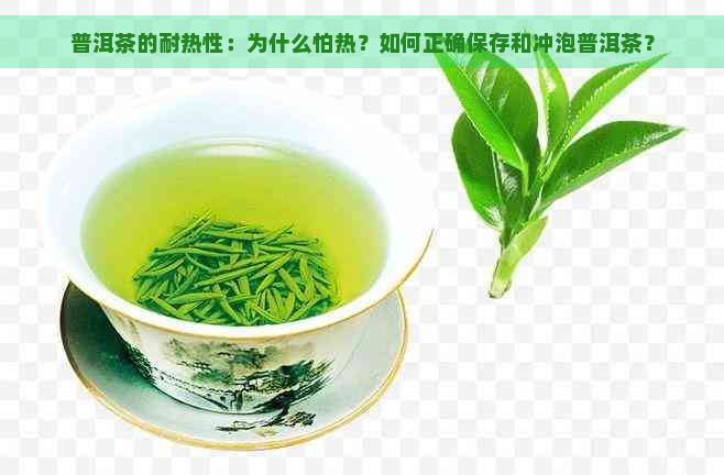 普洱茶的耐热性：为什么怕热？如何正确保存和冲泡普洱茶？