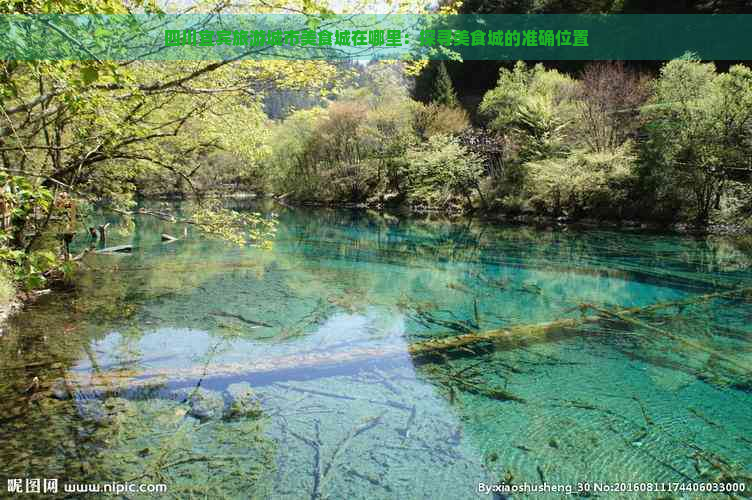 四川宜宾旅游城市美食城在哪里：探寻美食城的准确位置