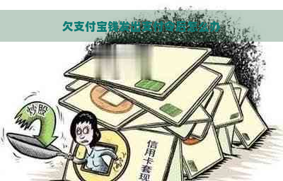 欠支付宝钱发出支付令后怎么办