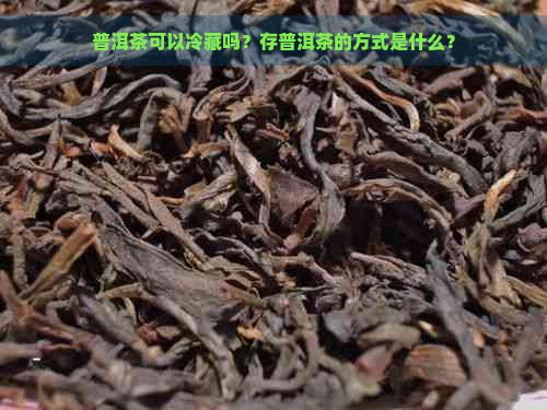 普洱茶可以冷藏吗？存普洱茶的方式是什么？