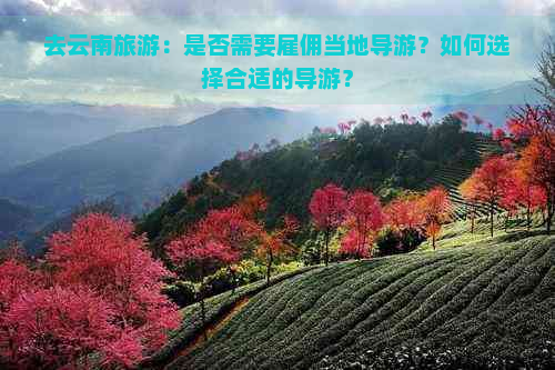 去云南旅游：是否需要雇佣当地导游？如何选择合适的导游？