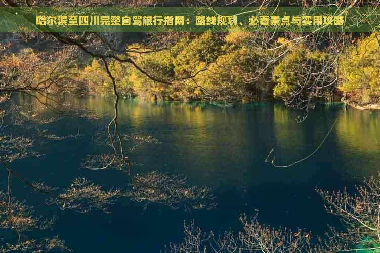 哈尔滨至四川完整自驾旅行指南：路线规划、必看景点与实用攻略