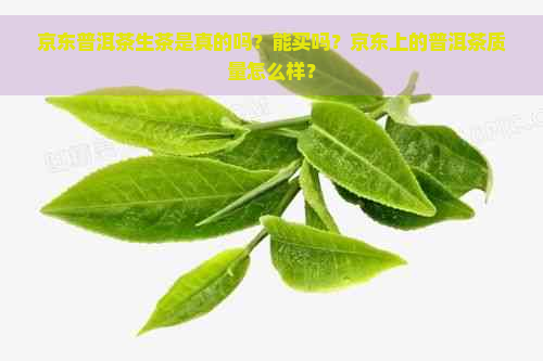 京东普洱茶生茶是真的吗？能买吗？京东上的普洱茶质量怎么样？