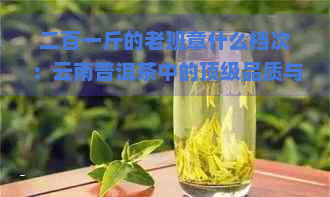 二百一斤的老班章什么档次：云南普洱茶中的顶级品质与市场行情分析