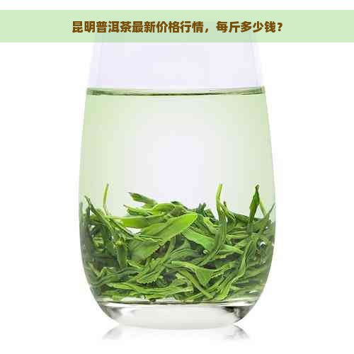 昆明普洱茶最新价格行情，每斤多少钱？