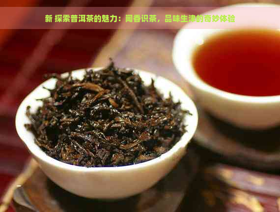 新 探索普洱茶的魅力：闻香识茶，品味生津的奇妙体验