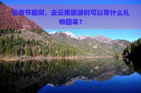 在春节期间，去云南旅游时可以带什么礼物回来？