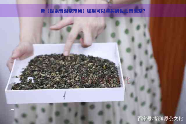 新【探索普洱茶市场】哪里可以购买到优质普洱茶？