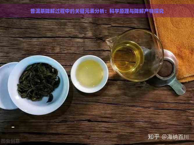 普洱茶降解过程中的关键元素分析：科学原理与降解产物探究