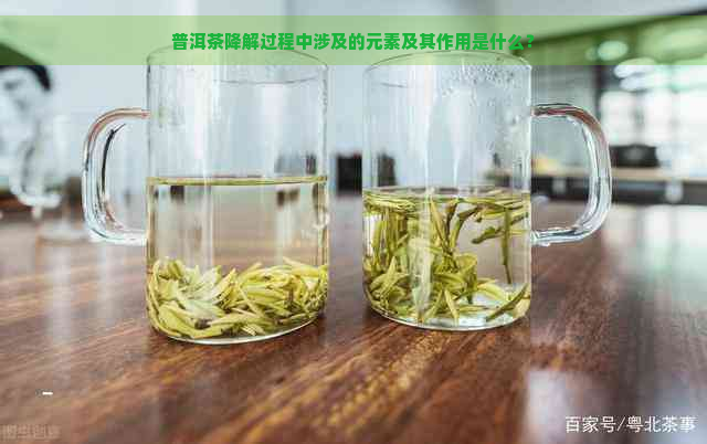 普洱茶降解过程中涉及的元素及其作用是什么？