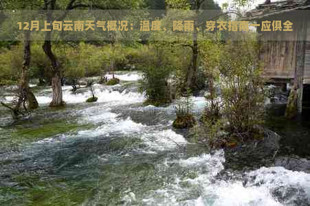 12月上旬云南天气概况：温度、降雨、穿衣指南一应俱全