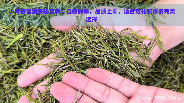 小青柑普洱茶礼盒装：口感醇厚，品质上乘，适合送礼收藏的完美选择