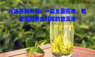 从选茶到泡茶：一篇全面指南，教你如何煮出好喝的普洱茶