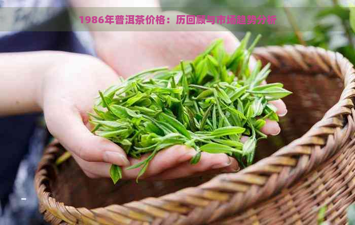 1986年普洱茶价格：历回顾与市场趋势分析