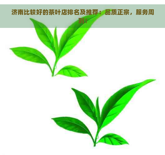 济南比较好的茶叶店排名及推荐：品质正宗，服务周到！