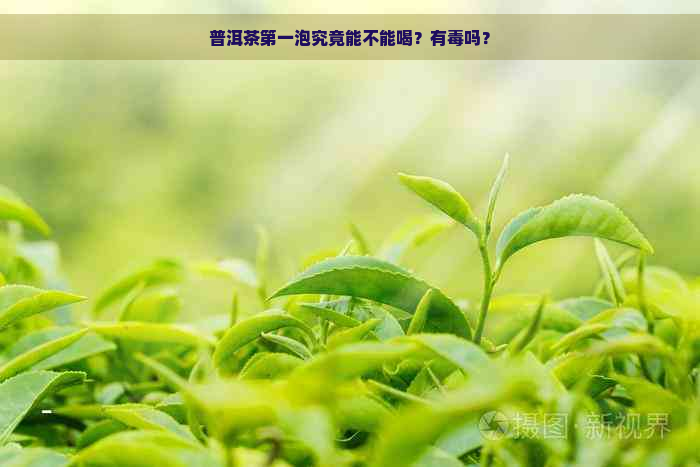 普洱茶之一泡究竟能不能喝？有吗？