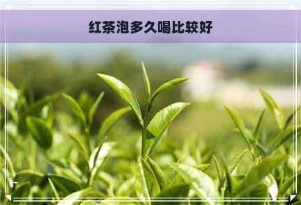 红茶泡多久喝比较好