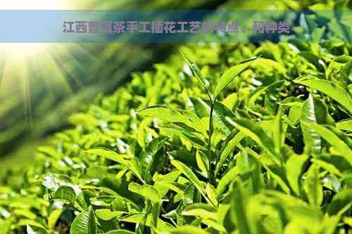 江西普洱茶手工插花工艺的特点、和种类