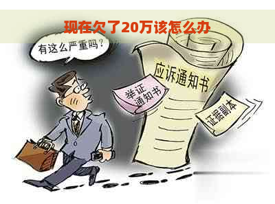 现在欠了20万该怎么办