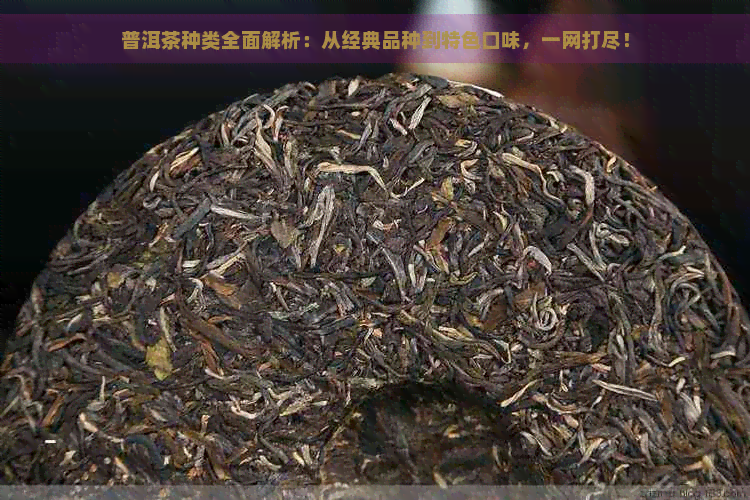 普洱茶种类全面解析：从经典品种到特色口味，一网打尽！