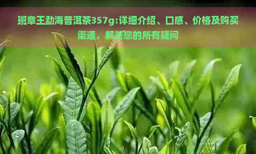 班章王勐海普洱茶357g:详细介绍、口感、价格及购买渠道，解答您的所有疑问