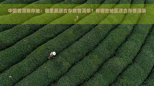 中国普洱茶存地：哪里最适合存放普洱茶？有哪些地区适合存普洱茶？