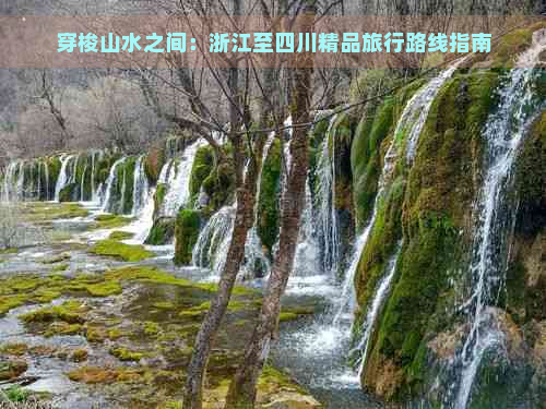 穿梭山水之间：浙江至四川精品旅行路线指南