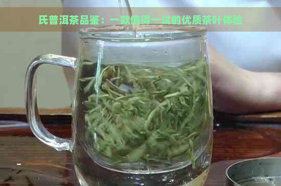 氏普洱茶品鉴：一款值得一试的优质茶叶体验