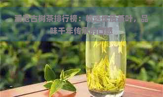 澜沧古树茶排行榜：精选优质茶叶，品味千年传承的口感